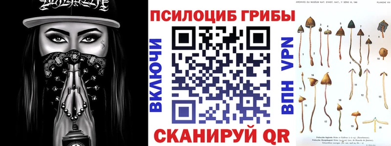Псилоцибиновые грибы мицелий  Купить  Петровск-Забайкальский 